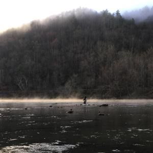 Meet your Posher, Liam